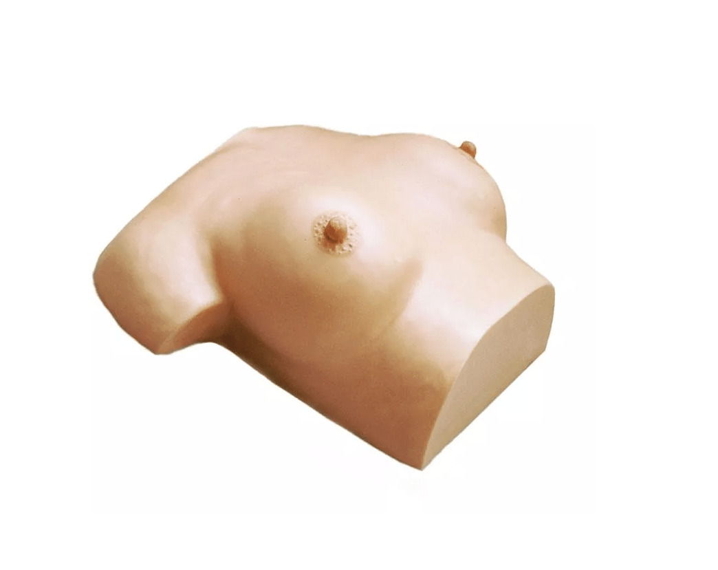 Brustpflege und - massagemodell - Erler - Zimmer